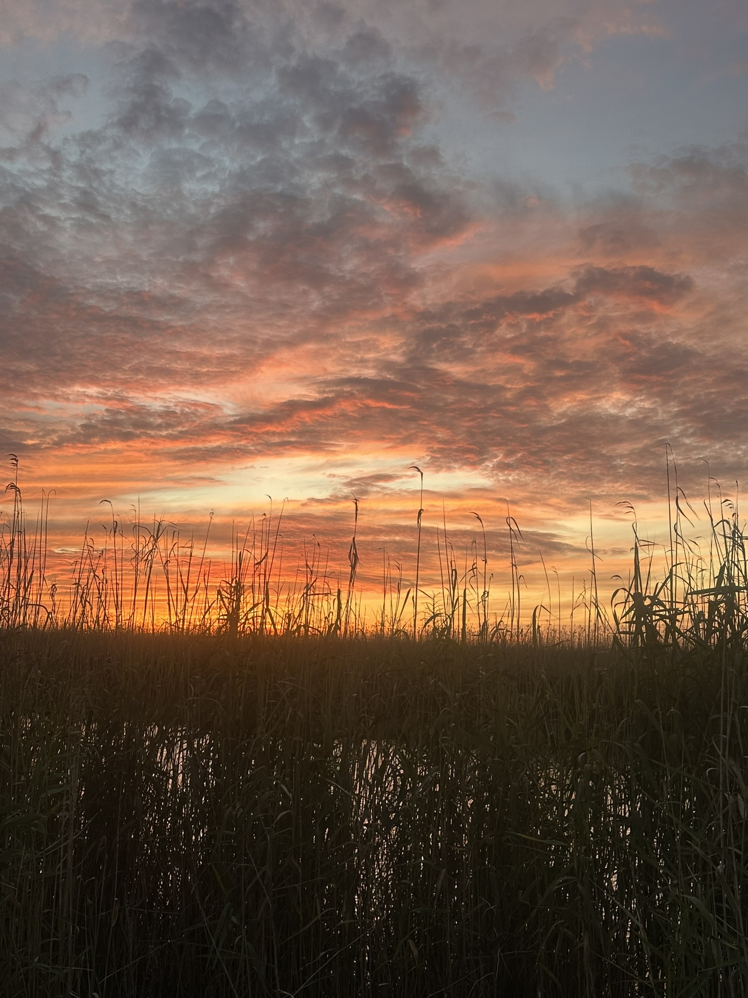 United States-National Parks-Other - Image 2380